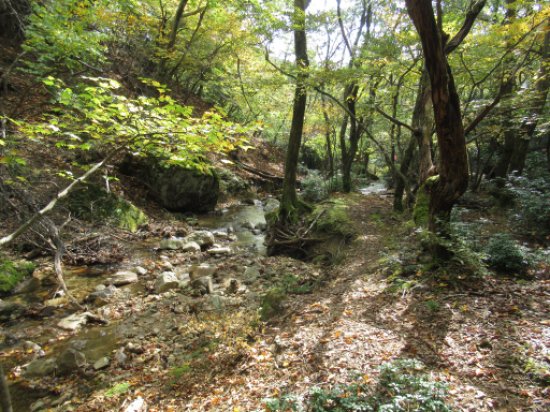 画像28